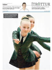 Síða 13