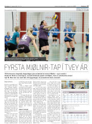 Síða 17