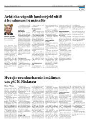 Síða 23