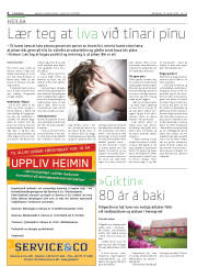 Síða 6
