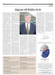 Síða 13