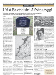 Síða 17