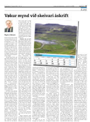 Síða 19