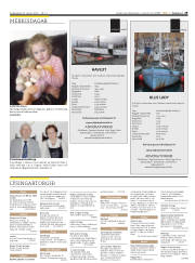 Síða 29