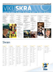 Síða 31