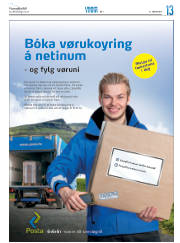 Síða 45