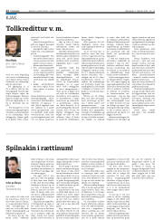 Síða 12