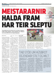 Síða 20