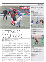 Síða 21
