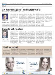 Síða 22