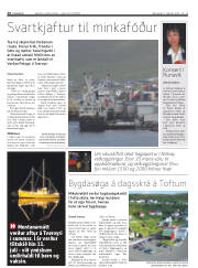 Síða 24