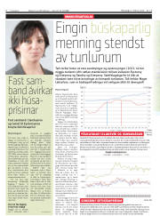 Síða 8