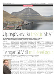 Síða 11