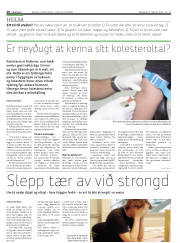Síða 20