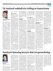 Síða 21