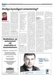 Síða 22