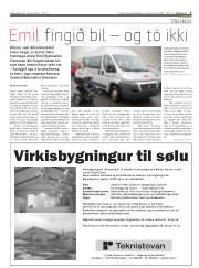 Síða 5