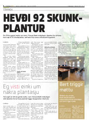Síða 8