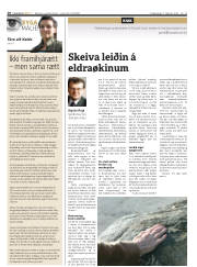 Síða 10