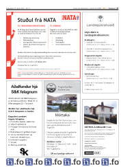 Síða 17