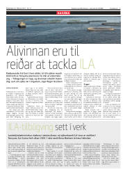 Síða 5
