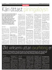 Síða 8