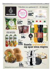 Síða 3