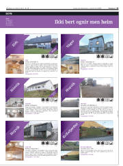 Síða 11