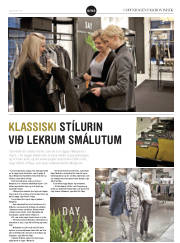 Síða 17