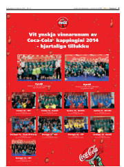 Síða 3