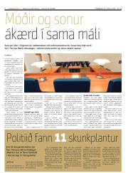Síða 4