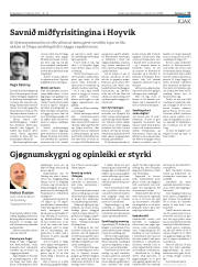 Síða 17