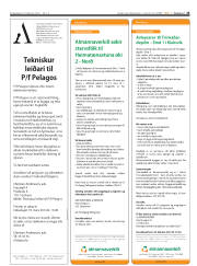Síða 23