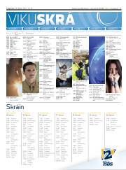 Síða 31