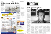 Síða 8