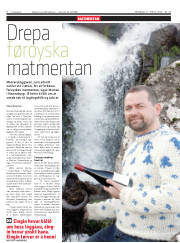 Síða 8