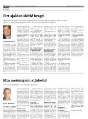 Síða 12