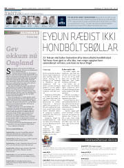 Síða 14