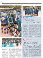 Síða 19