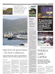 Síða 25