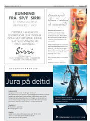 Síða 27