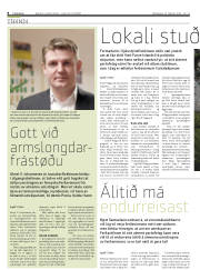 Síða 8