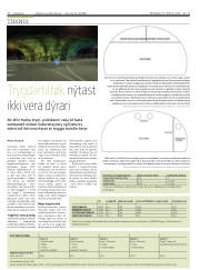 Síða 10