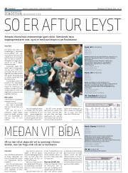 Síða 18
