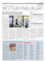 Síða 19