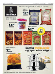 Síða 3
