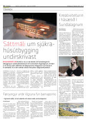 Síða 12