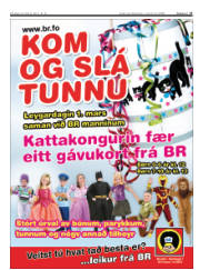 Síða 17