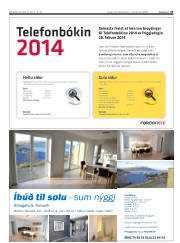 Síða 25
