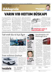Síða 2